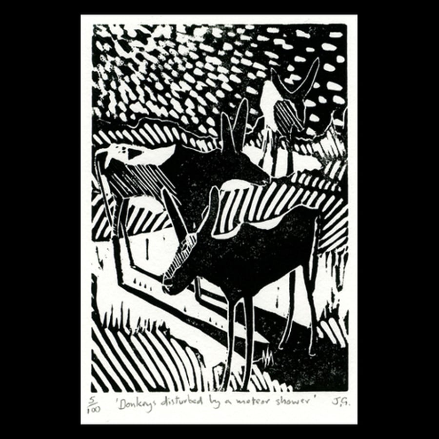 Donkeys Disturbed By A Meteor Shower