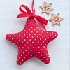 RED POLKA DOT CHRISTMAS STAR DECORATION