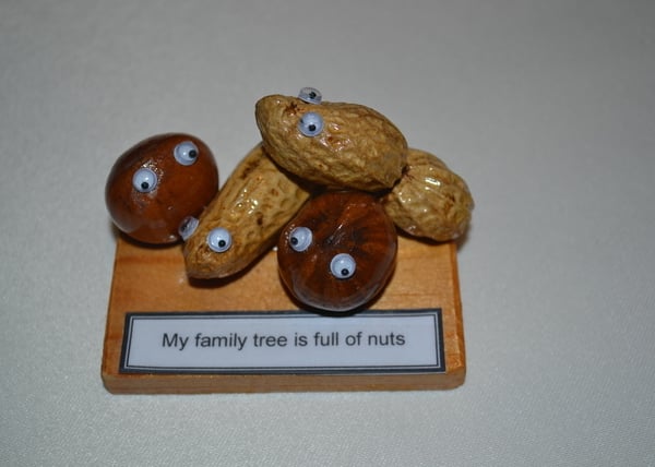 Family Nuts Nutty Gift