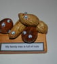 Family Nuts Nutty Gift - Image 1
