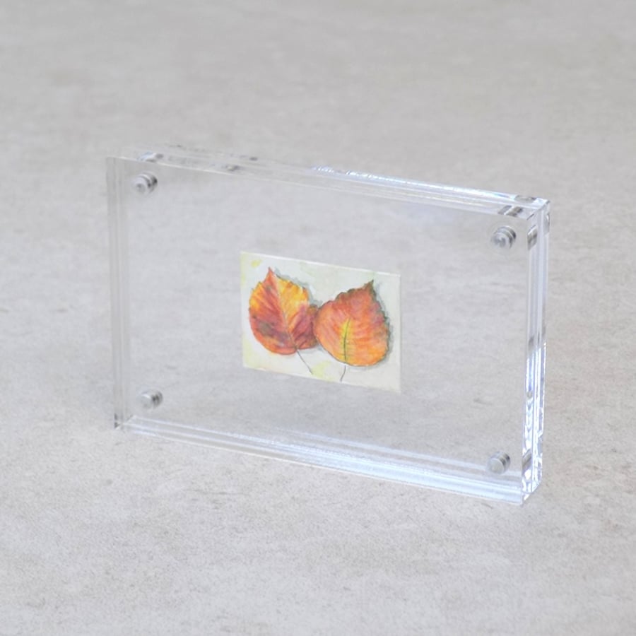 Miniature Watercolour Painting 'Autumn Elm' (2.5cm x 3.5 cm)