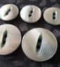 15mm & 21mm Suit Jacket buttons (Matching) - Image 3