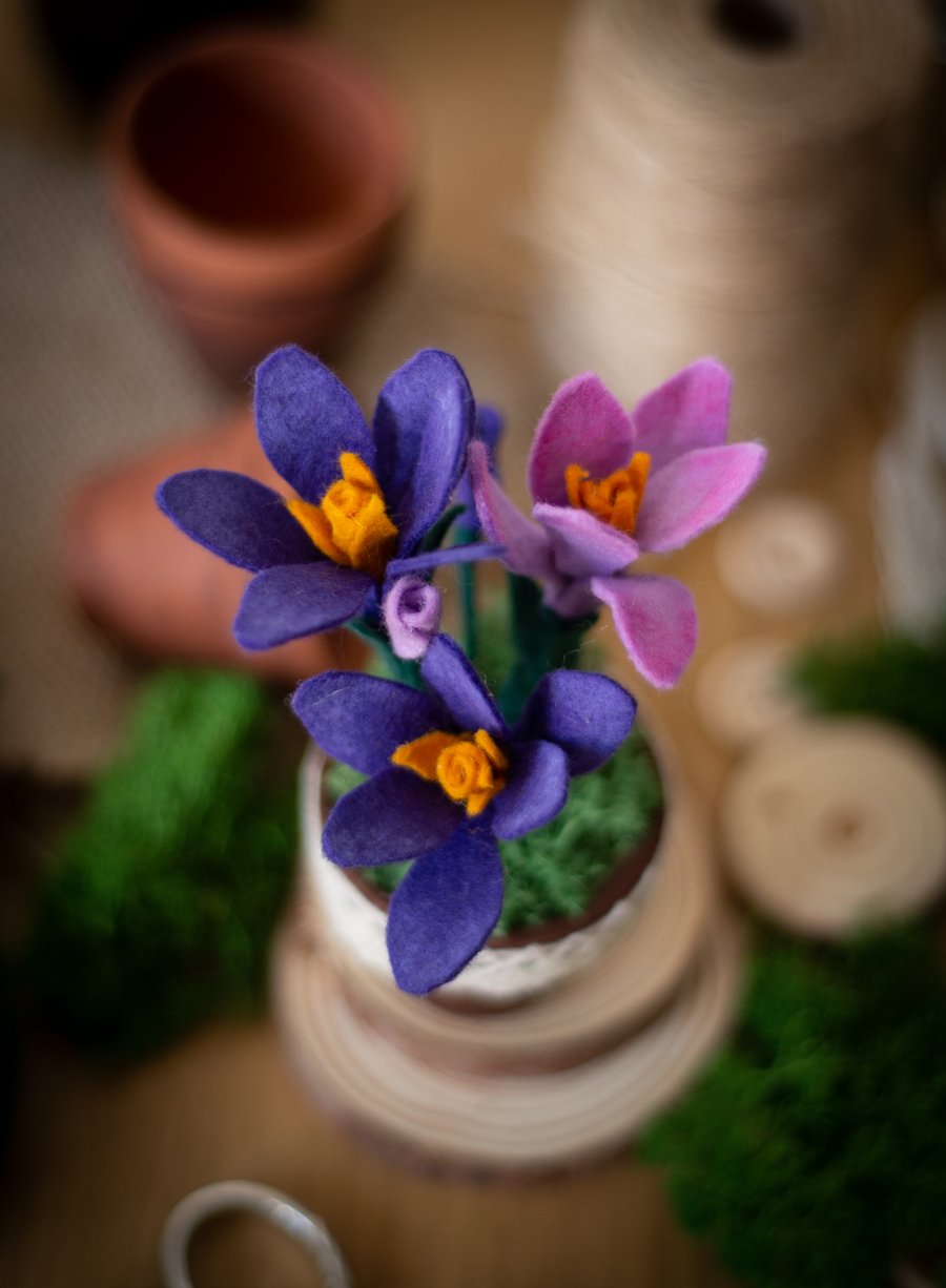Terracotta Garden Trio - Felt Crocuses in a Terracotta Pot