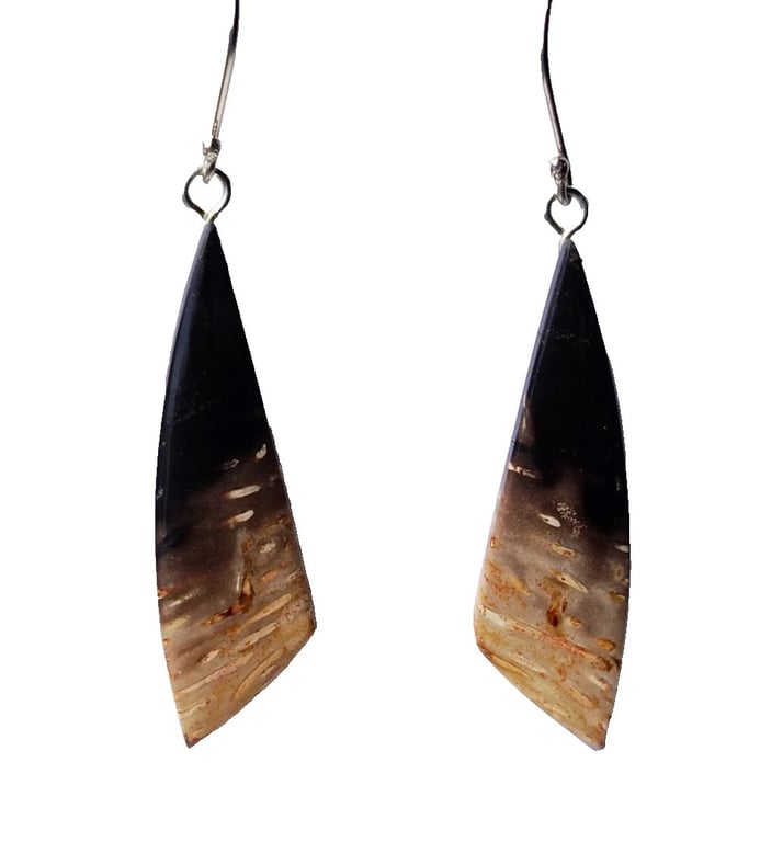 Fossilized Palm Root Earrings Sterling Silver 925 Jewellery Gift Petrified Wood