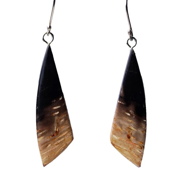Fossilized Palm Root Earrings Sterling Silver 925 Jewellery Gift Petrified Wood