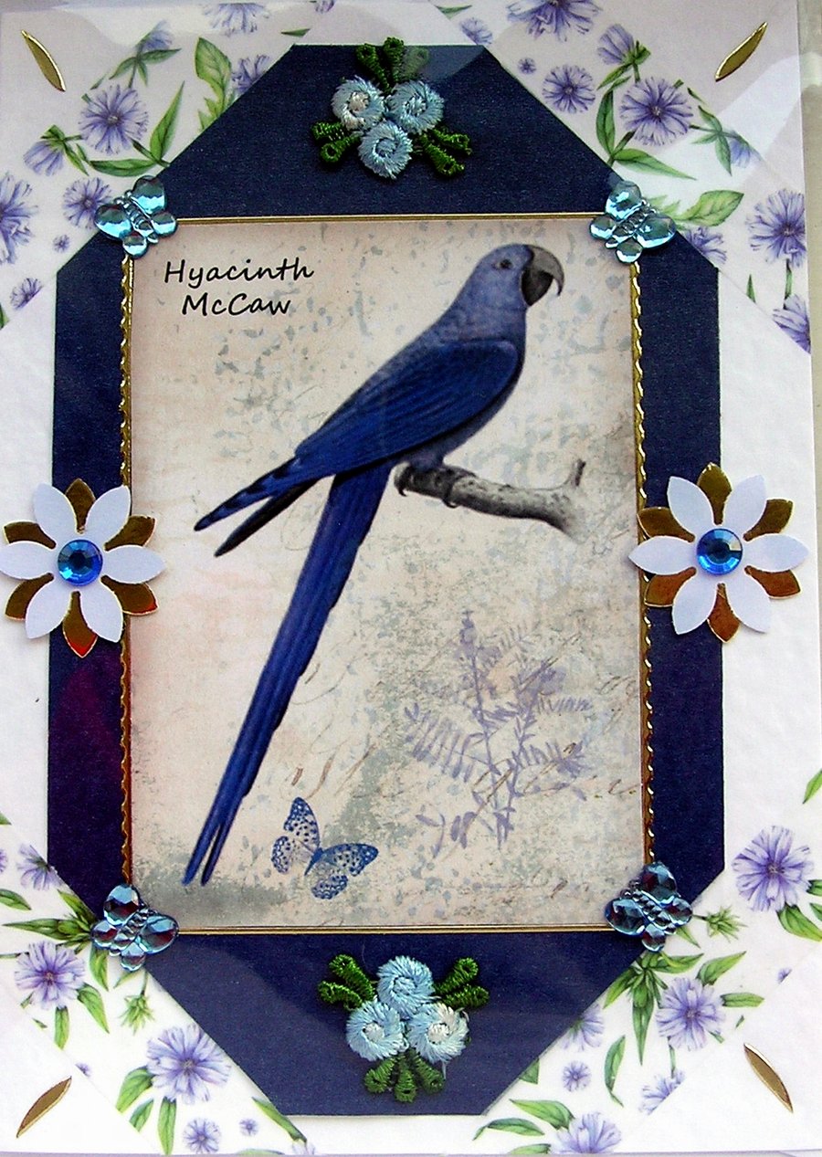 Blue Hyacinth McCaw Bird - Hand Crafted Decoupage Greeting Card - Blank - 2933