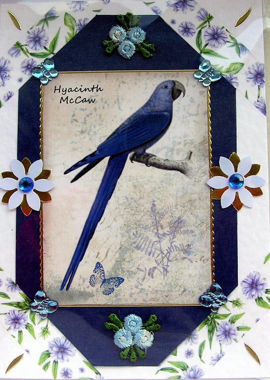 Blue Hyacinth McCaw Bird - Hand Crafted Decoupage Greeting Card - Blank - 2933