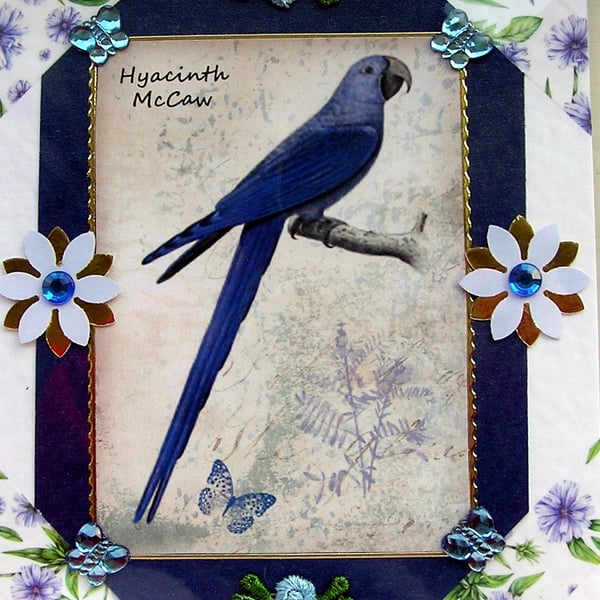 Blue Hyacinth McCaw Bird - Hand Crafted Decoupage Greeting Card - Blank - 2933