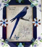 Blue Hyacinth McCaw Bird - Hand Crafted Decoupage Greeting Card - Blank - 2933
