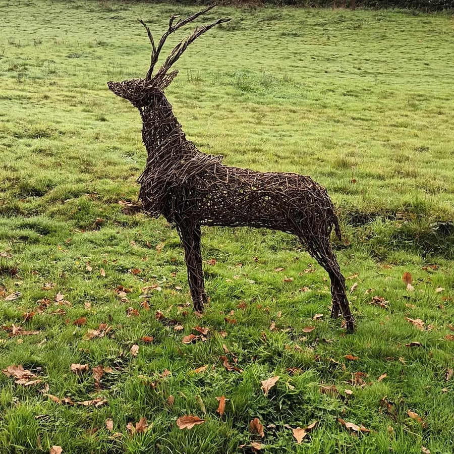 willow stag sculpture, deer, garden sculpture, eco-friendly art, commissions