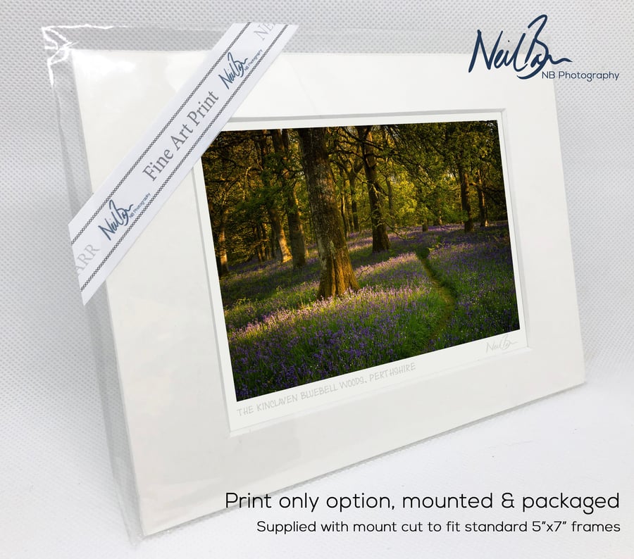 Kinclaven Bluebell Woodlands Perthshire Scotland - A6 (7" x 5") Unframed Print
