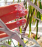 Mermaid starfish pink dangle beaded earrings 