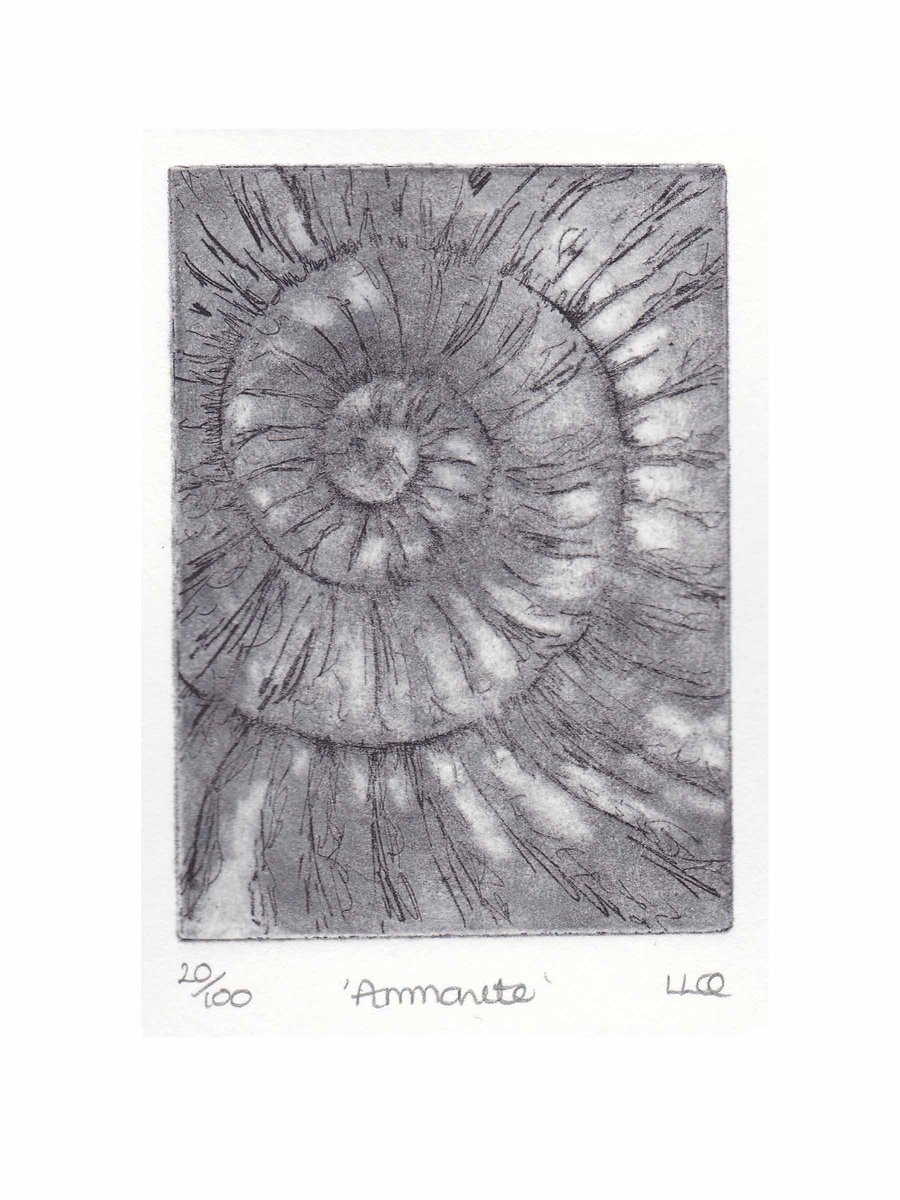 Etching no.20 of an ammonite fossil in an edition of 100