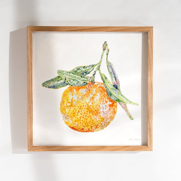 Watercolour Orange Clementine Print - Illustrated food art printed sustainably