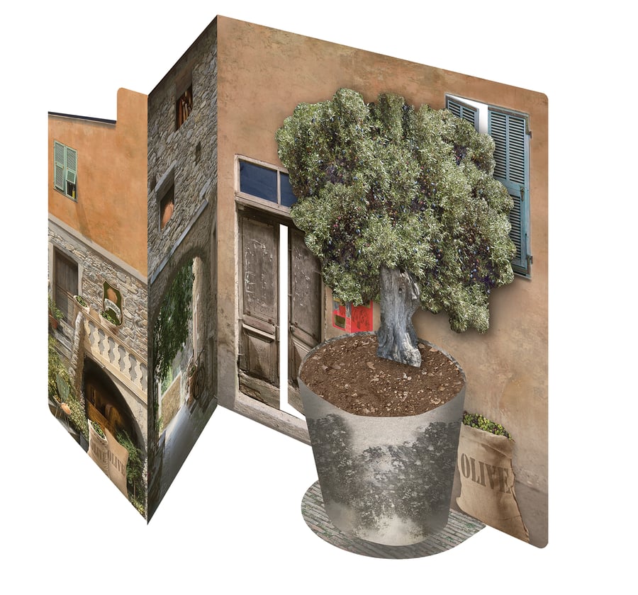 Italian Olive Grove 3D greeting card - Folksy