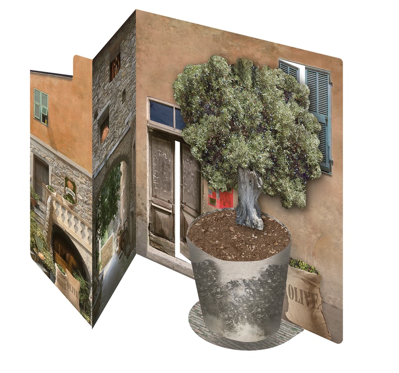 Italian Olive Grove 3D greeting card