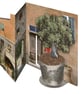 Italian Olive Grove 3D greeting card