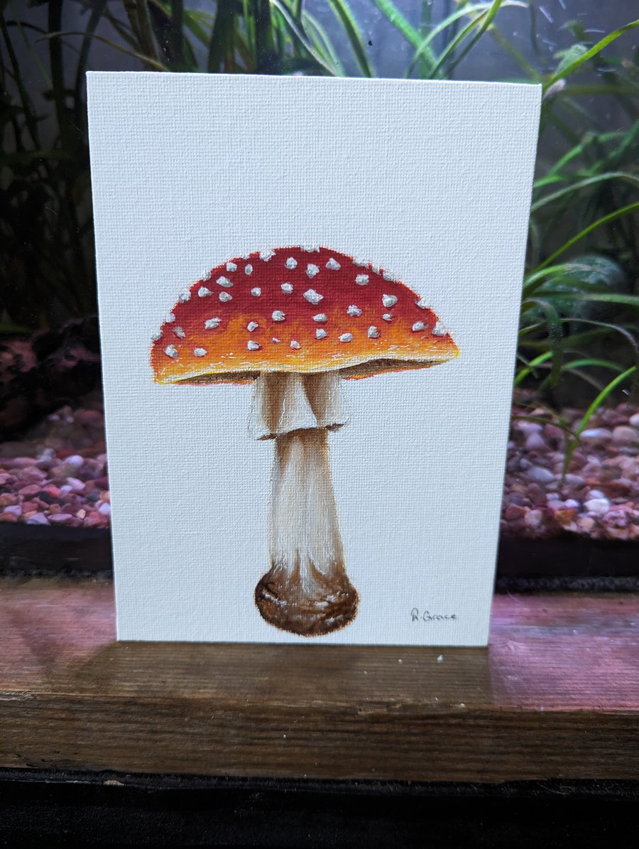 Fly Agaric - Toad Stool Mushroom Painting 