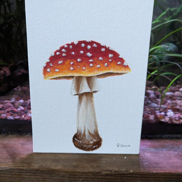 Fly Agaric - Toad Stool Mushroom Painting 