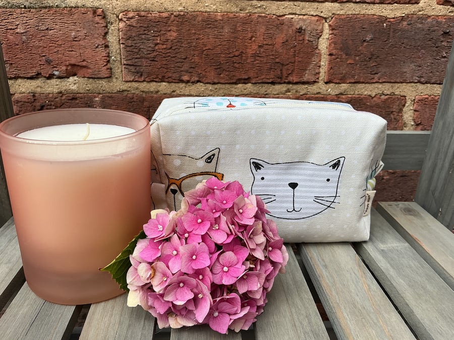 Cool Cats Box Pouch