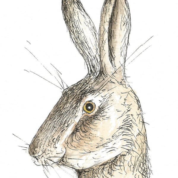 Surprised hare - print from original drawing