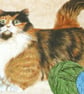 Pretty Tortoiseshell and white cat with balls of wool cushion - Image 3
