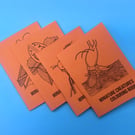 Miniature Creatures Colouring Book - Handmade