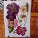 Handmade pressed roses and lavender picture. Original. A5. 8.3inch x 5.8inch