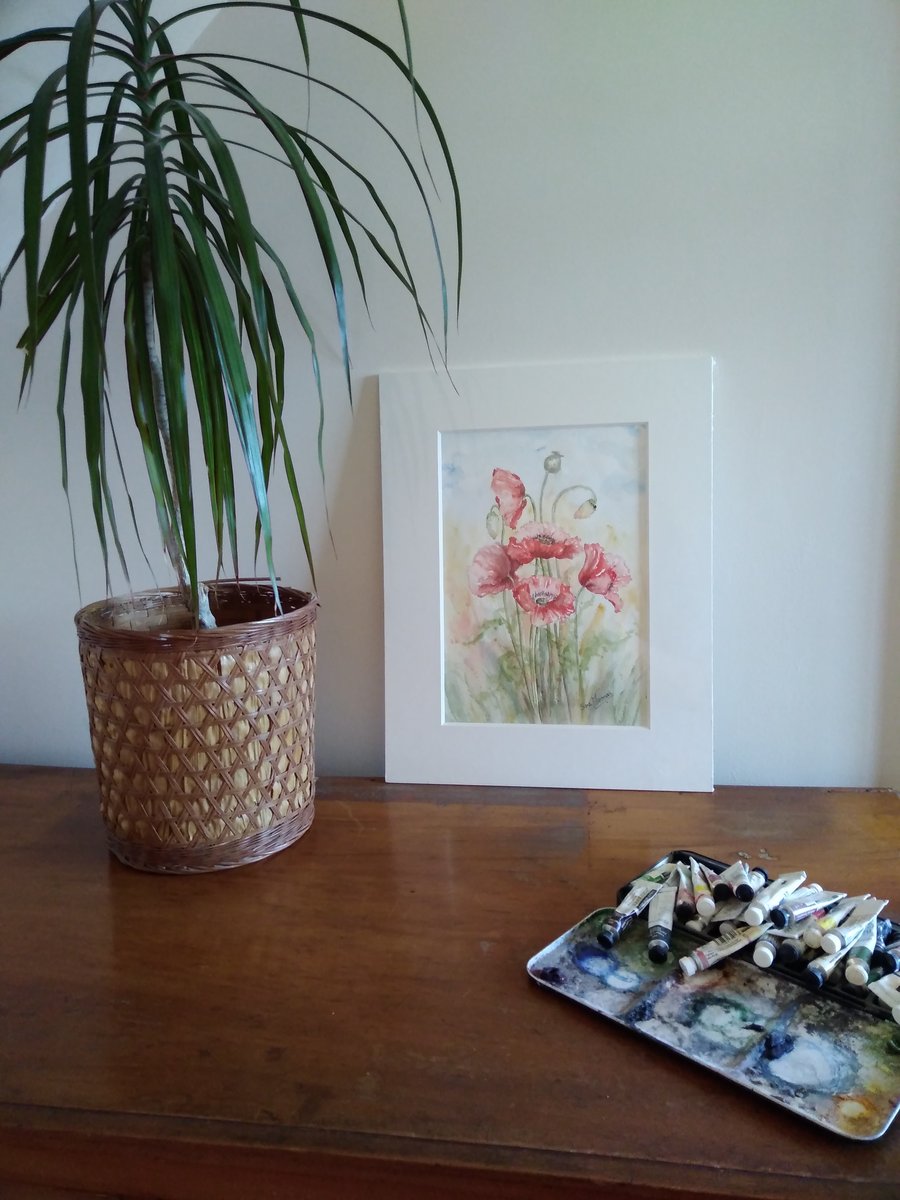 Red poppies in Norfolk original watercolour painting