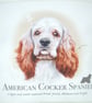 American Cocker Spaniel Portrait cushion - Image 2