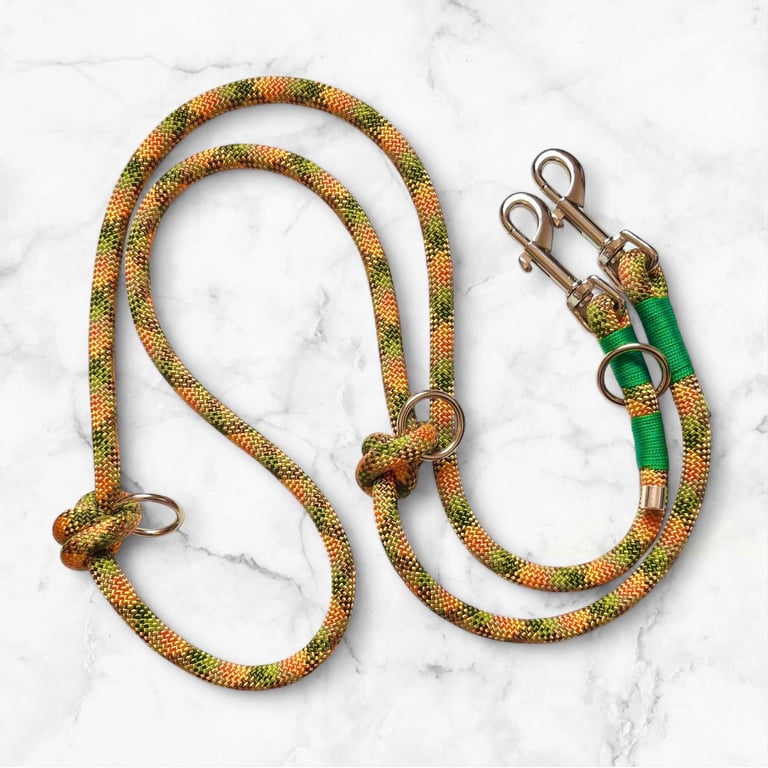 Double ended rope training lead