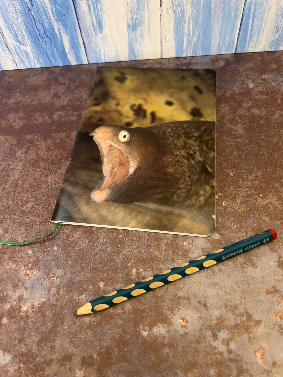 Notebook, Marine themed, A5 (ish), made from up-cycled and recycled materials.