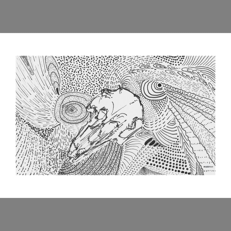 'Found' Abstract Animal Skull Drawing A6 giclee print from original pen on paper