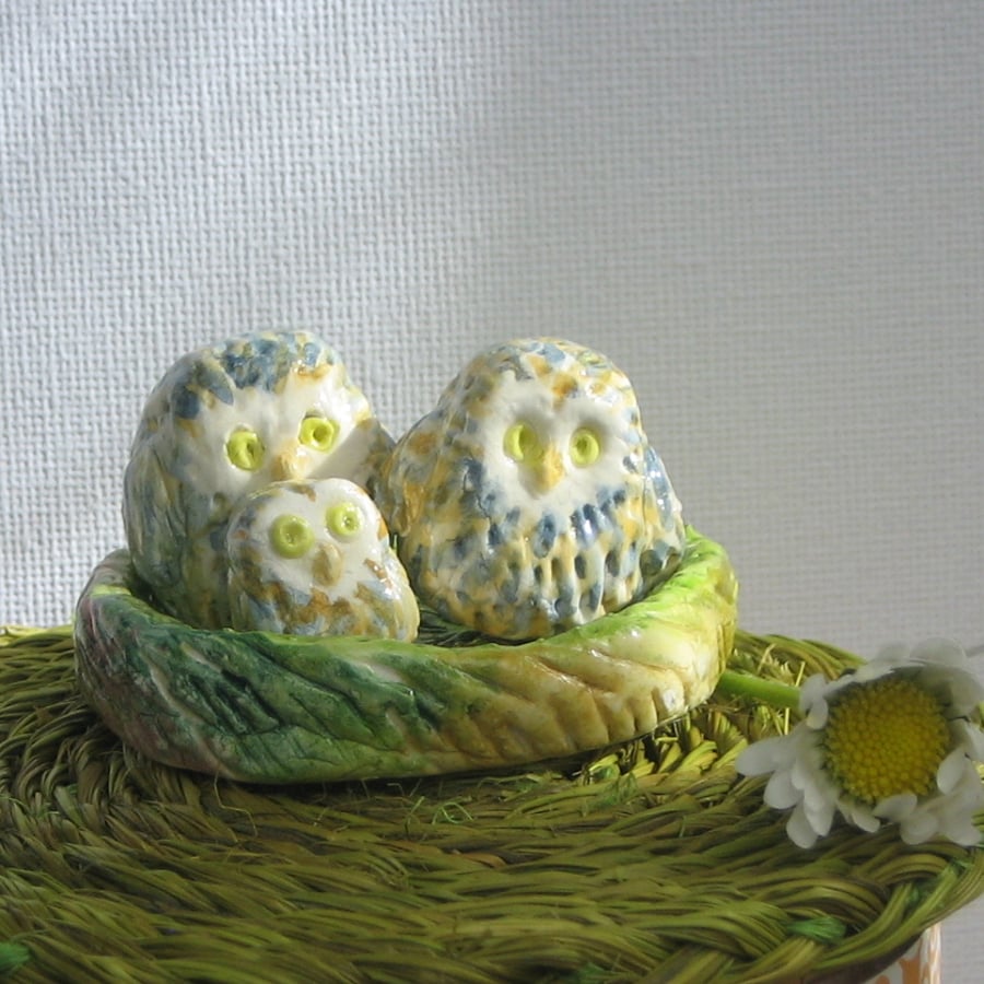 Half Price! Owl Babies Model in Clay