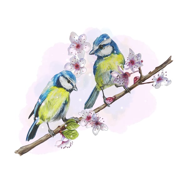 Blue-tit Blossom