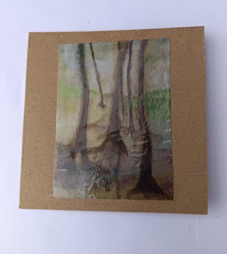 Trees in the landscape