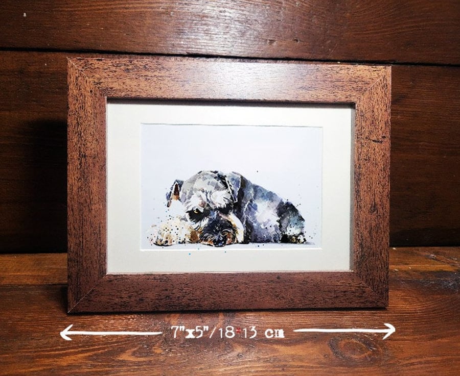 Schnauzer Terrier " Watercolour Miniature Framed Print,(7"5"1813cm) Schnauzer ar