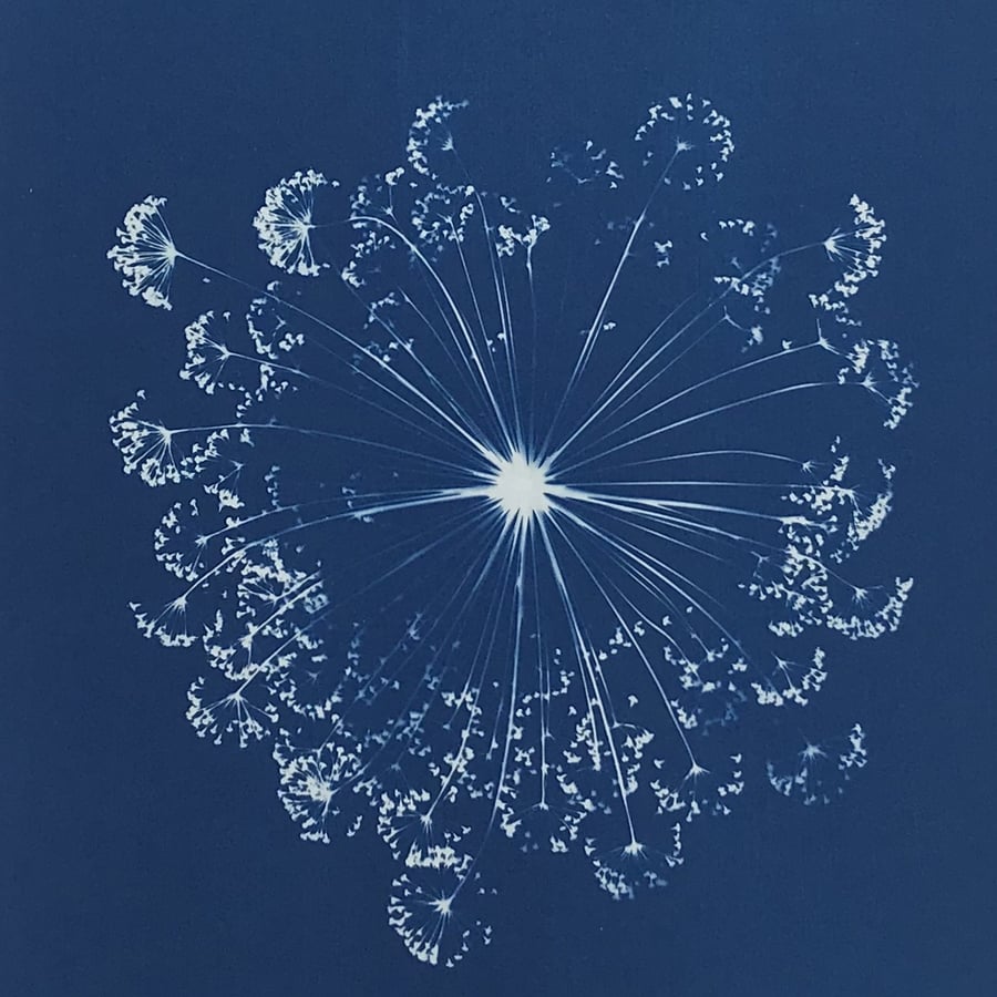 Original Art, Cyanotype photogram, Art for Gard... - Folksy