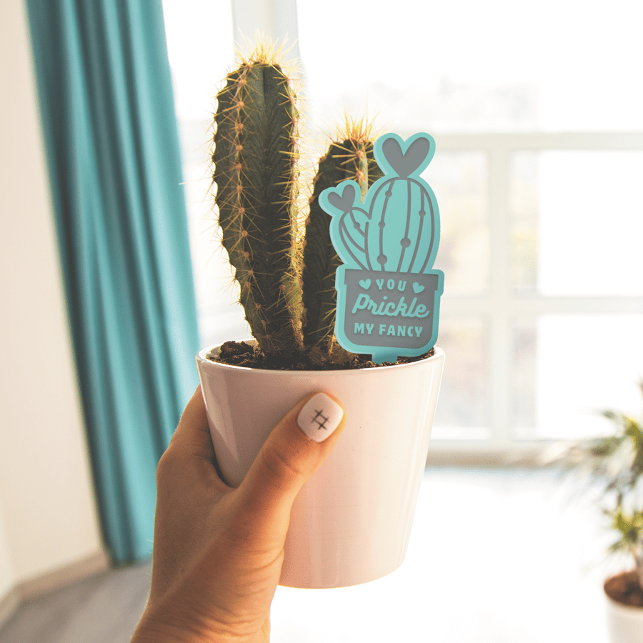 Prickle My Fancy: Acrylic Cactus Plant Tag, Pun Gift for Valentines, Small Gift