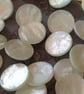 7 8" 23mm 36L Polyester Pearl Shank Buttons Rare now x 4 Buttons - Image 5