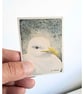 Original ACEO  Seagull Portrait Miniature Painting, Watercolour  - Image 2