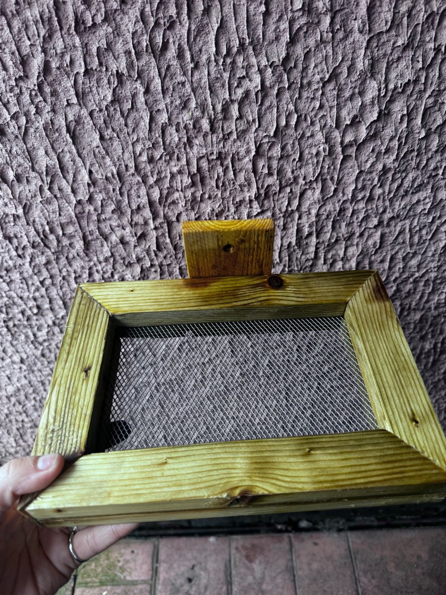 Eco friendly bird feeder 