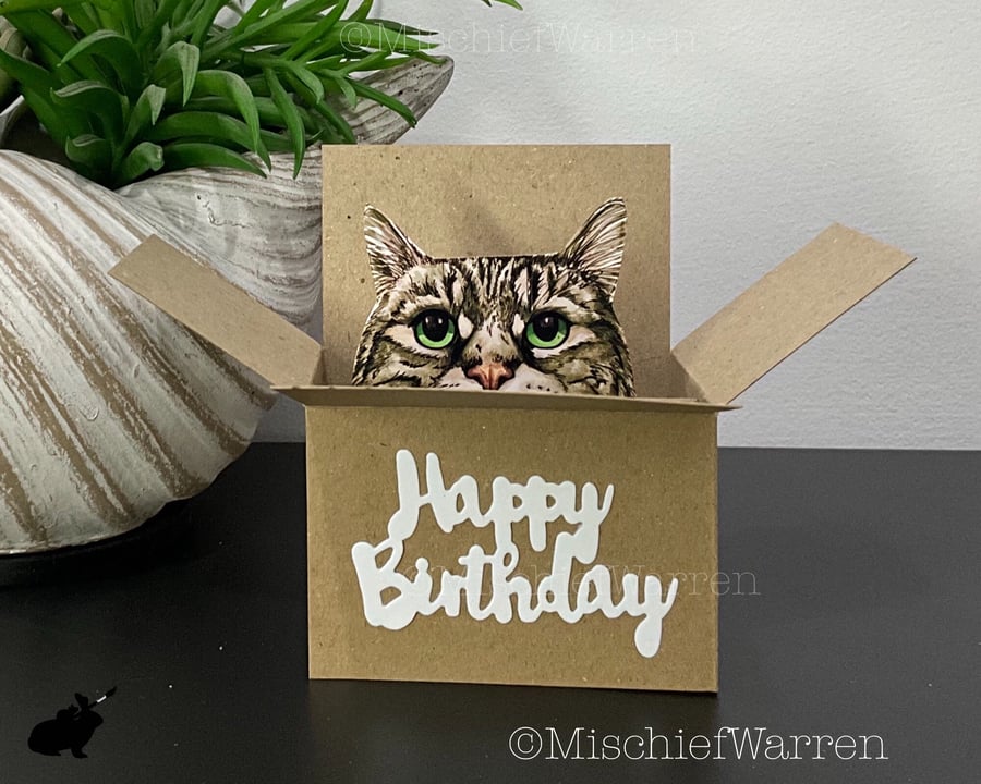 Tabby Cat Birthday Card. The Original Cat in a box card. 3D Gift card holder.
