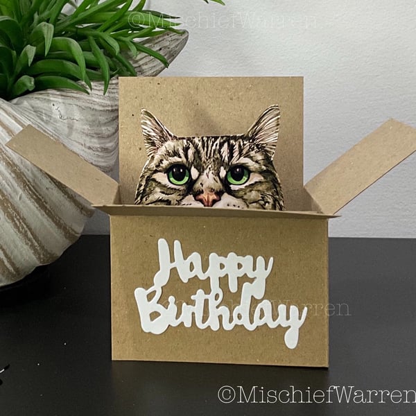 Tabby Cat Birthday Card. The Original Cat in a box card. 3D Gift card holder.