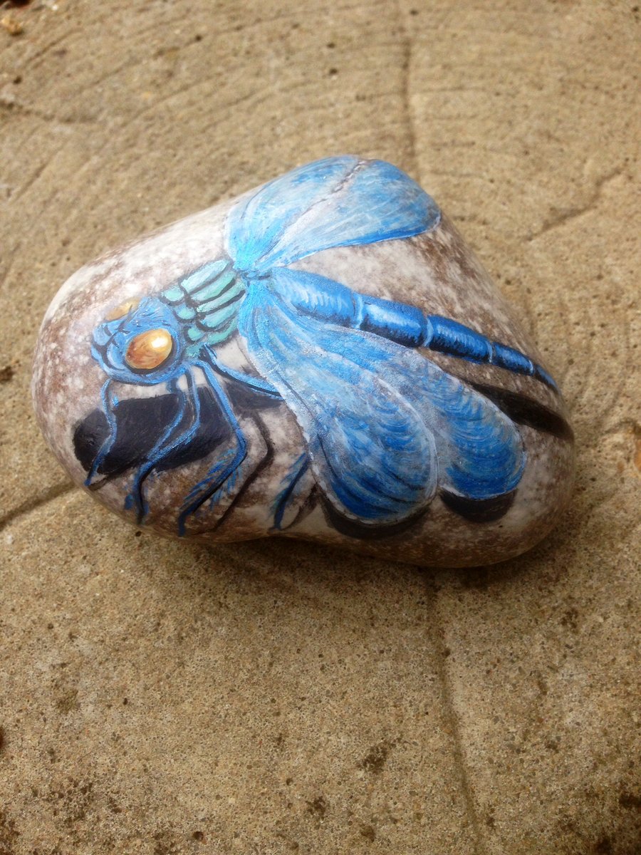 Dragonfly painted on stone