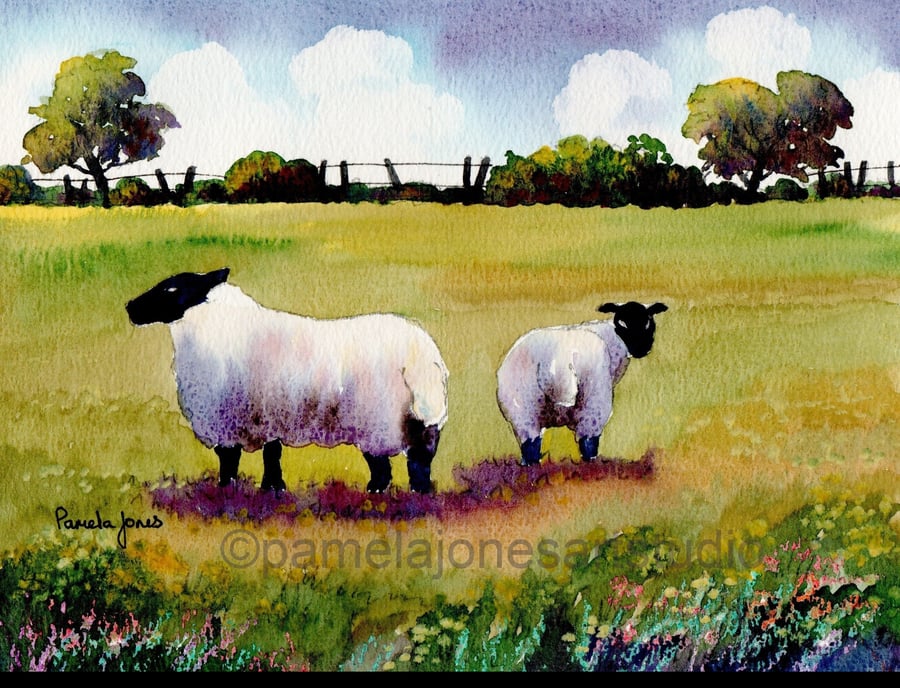 Watercolour Print :: Sheep In Meadow, in 8 x 6 '' Mount