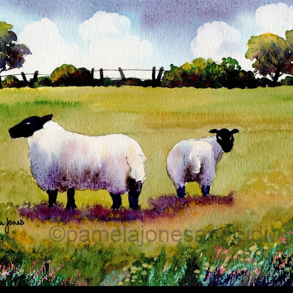 Watercolour Print :: Sheep In Meadow, in 8 x 6 '' Mount