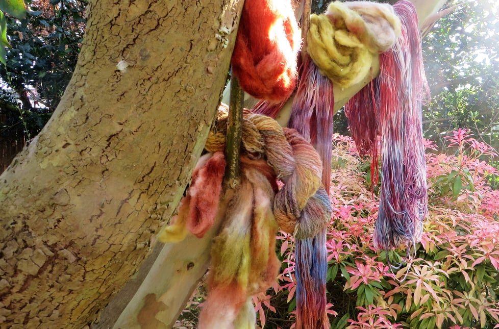  Woollen Tree