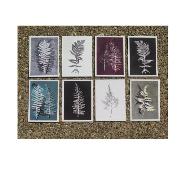 Pack of 8 botanical fern postcards based on original art by Stef Mitchell