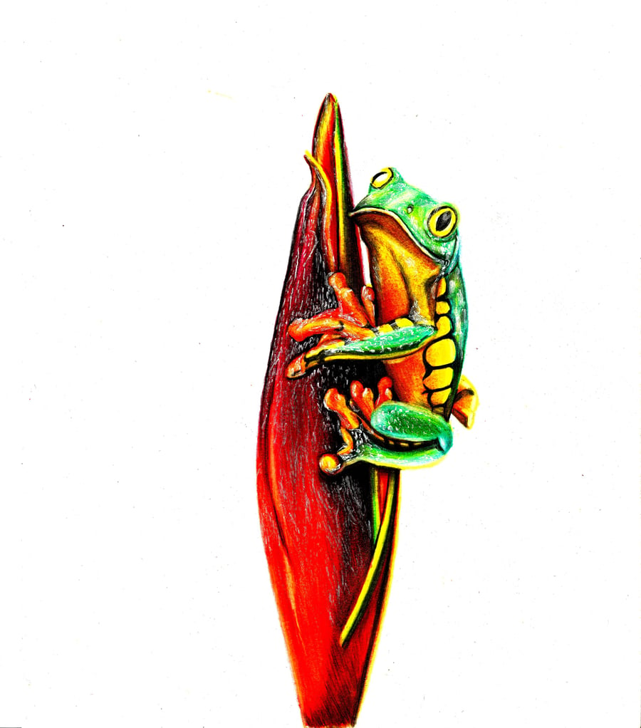 Vibrant Tree Frog Clinging to a Red Petal - Nature-Inspired Original Art